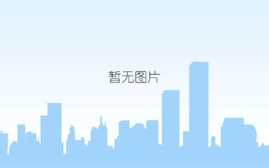 德国斯图加特大学教授andré d. thess访问过程工程所